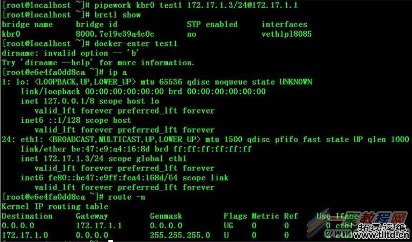 Docker容器固定IP分配详解