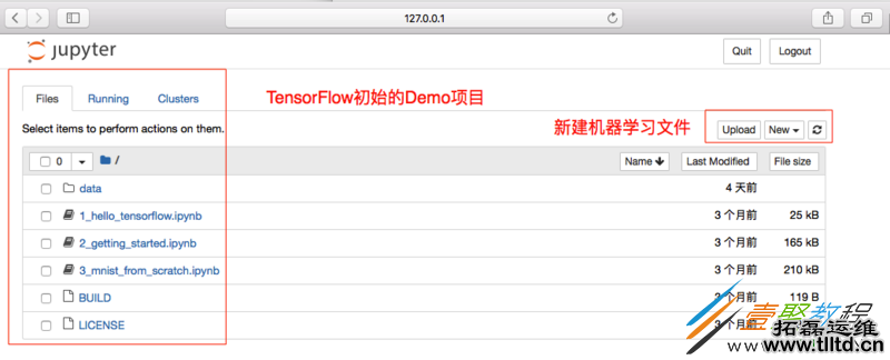 Docker 中快速安装tensorflow环境的方法步骤