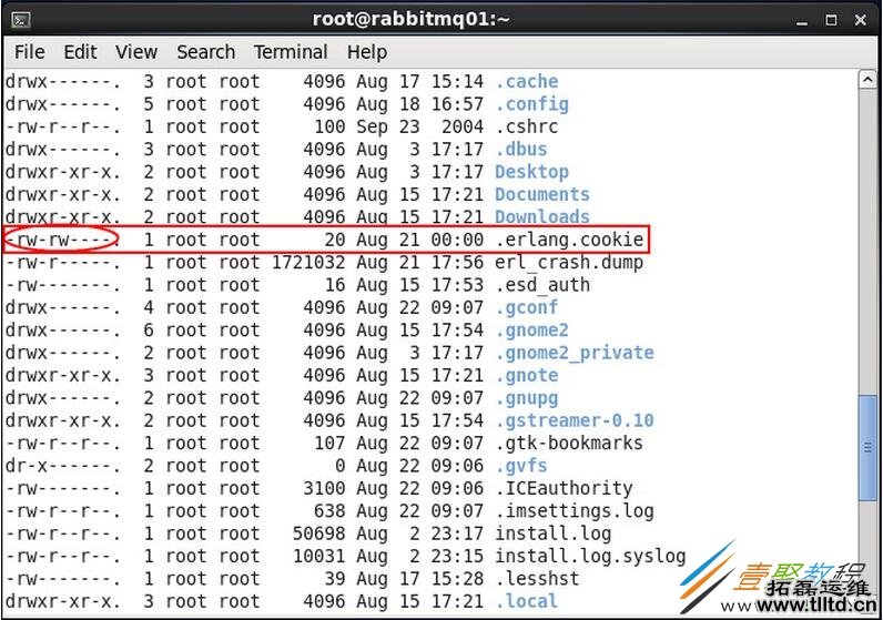 CentOS下RabbitMq高可用集群环境搭建教程